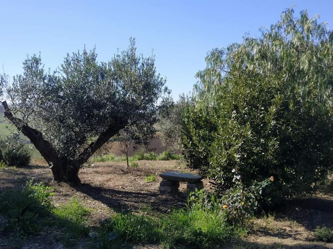 Masseria Baglio Perciata Camporeale Eksteriør bilde
